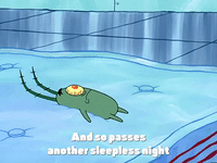 season 4 the lost mattress GIF by SpongeBob SquarePants