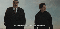 Trevor Noah Metaphor GIF by Paramount+