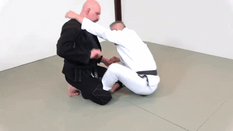 ritchieyip giphygifmaker bjj triangle choke pressing armbar GIF