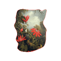 MaSoeurEtMoi fairy dreamy wonderland msem Sticker
