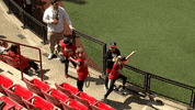 Bearcats Baseball Dancing GIF by Cincinnati Bearcats