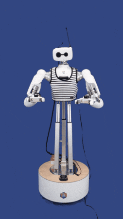 PollenRobotics giphygifmaker confused robot shy GIF