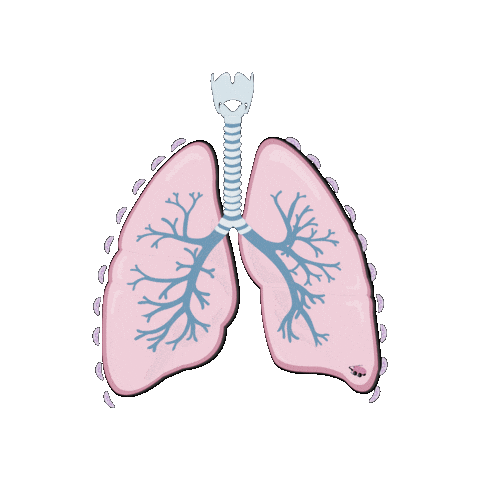 revmed giphygifmaker smoking air breathing Sticker