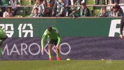bundesliga werderbremen GIF