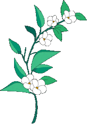 Bml Sticker by BML2020