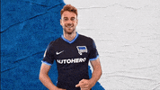 Bundesliga Berlin GIF by Hertha BSC