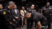 Mixed Martial Arts Fighting GIF by UFC