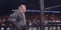 Jungle Boy Wrestlingmatch GIF by All Elite Wrestling on TNT