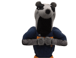 Uc Irvine Anteater Sticker by UCI Athletics