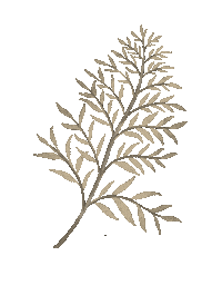 Autumn Leaf Sticker