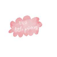 kimelise baby princess gender gender reveal Sticker