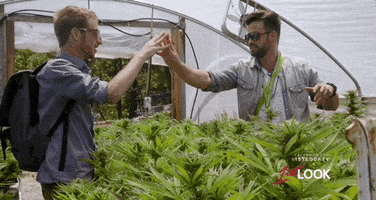 handshake johnny bananas GIF by 1st Look