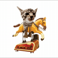 Horse Ride GIF