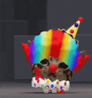 Cat Dancing GIF