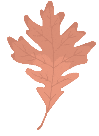 Oak Leaf Walk Sticker