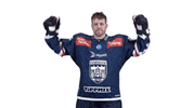 Celebration GIF by Fehervar AV19
