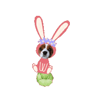 うさぎ いぬ Sticker