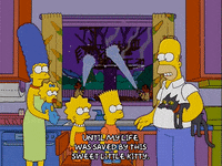 homer simpson GIF