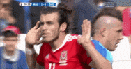 euro 2016 GIF by Sporza