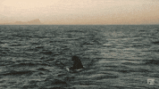 Fx Networks GIF by Cake FX