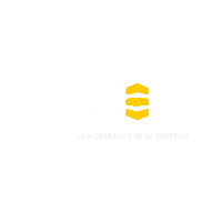 France Concert Sticker by La Siréne