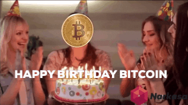 Birthday Bitcoin GIF by narkasa