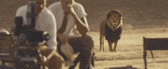 music video world GIF