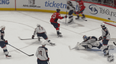Happy Washington Capitals GIF by NHL