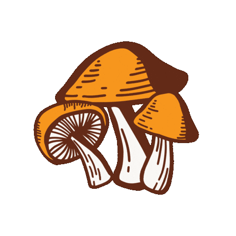 pansmushroomjerky giphygifmaker mushroom jerky pans mushroom jerky trippy mushrooms Sticker