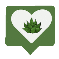 Seminole Heights Love Sticker