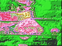 art colors GIF by MFD