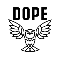 Snow Snowboarding Sticker by Dopesnow