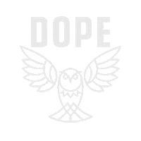 Snow Snowboarding Sticker by Dopesnow