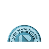 bracol diamond seguranca epi bracol Sticker