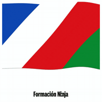 Flag Spain GIF by Formación Ninja