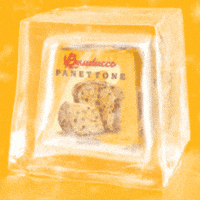 Panettone GIF by Bauducco Brasil