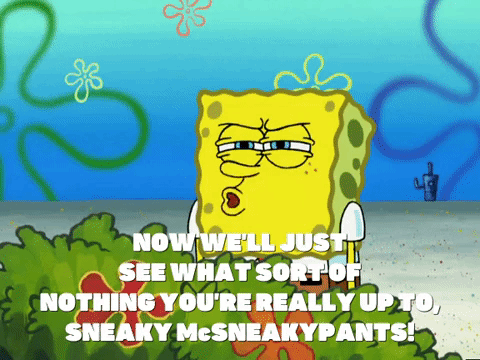 season 4 the pink purloiner GIF by SpongeBob SquarePants