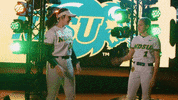 Softball Bison GIF by NDSU Athletics