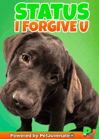 Henlo Hooman Fren GIF by PetJuvenate - PJ