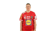 Handball Fans Sticker by EHF