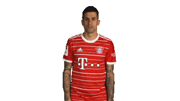 Joao Cancelo Bayern Sticker by Bundesliga