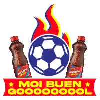 Football Sticker by Pony Malta Ecuador