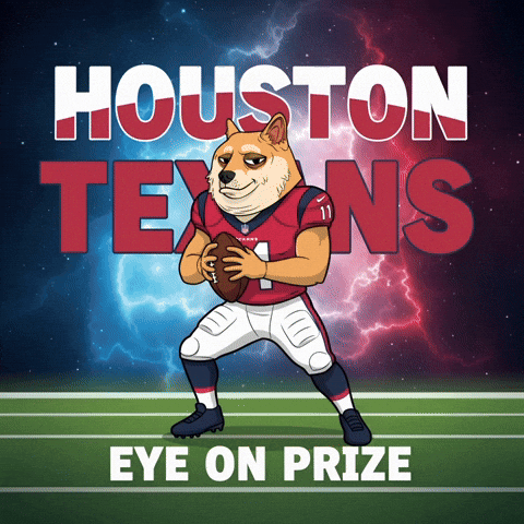 Shiba Inu Football GIF by Doge Pound