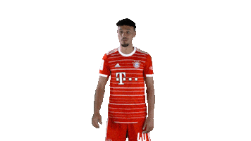 Come Here Sticker by FC Bayern Munich