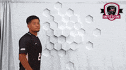 UIndyMensSoccer mens soccer uindy uindy m soccer uindy mens soccer GIF