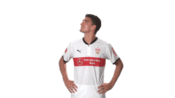 vfb stuttgart wtf Sticker by Bundesliga