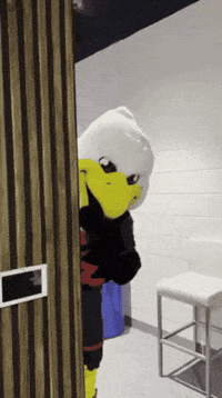 Soccer Futbol GIF by D.C. United