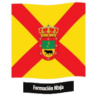 Castilla Y Leon Flag Sticker by Formación Ninja