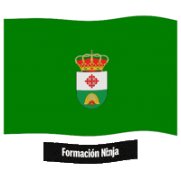Castilla Y Leon Flag Sticker by Formación Ninja