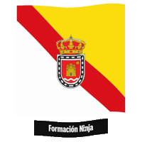 Castilla Y Leon Flag Sticker by Formación Ninja